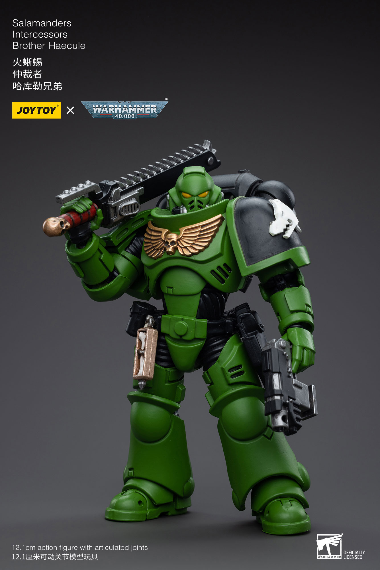 Pre-Order] JoyToy Action Figure Warhammer Salamanders Intercessors Brother Haecule » Joytoy Figure